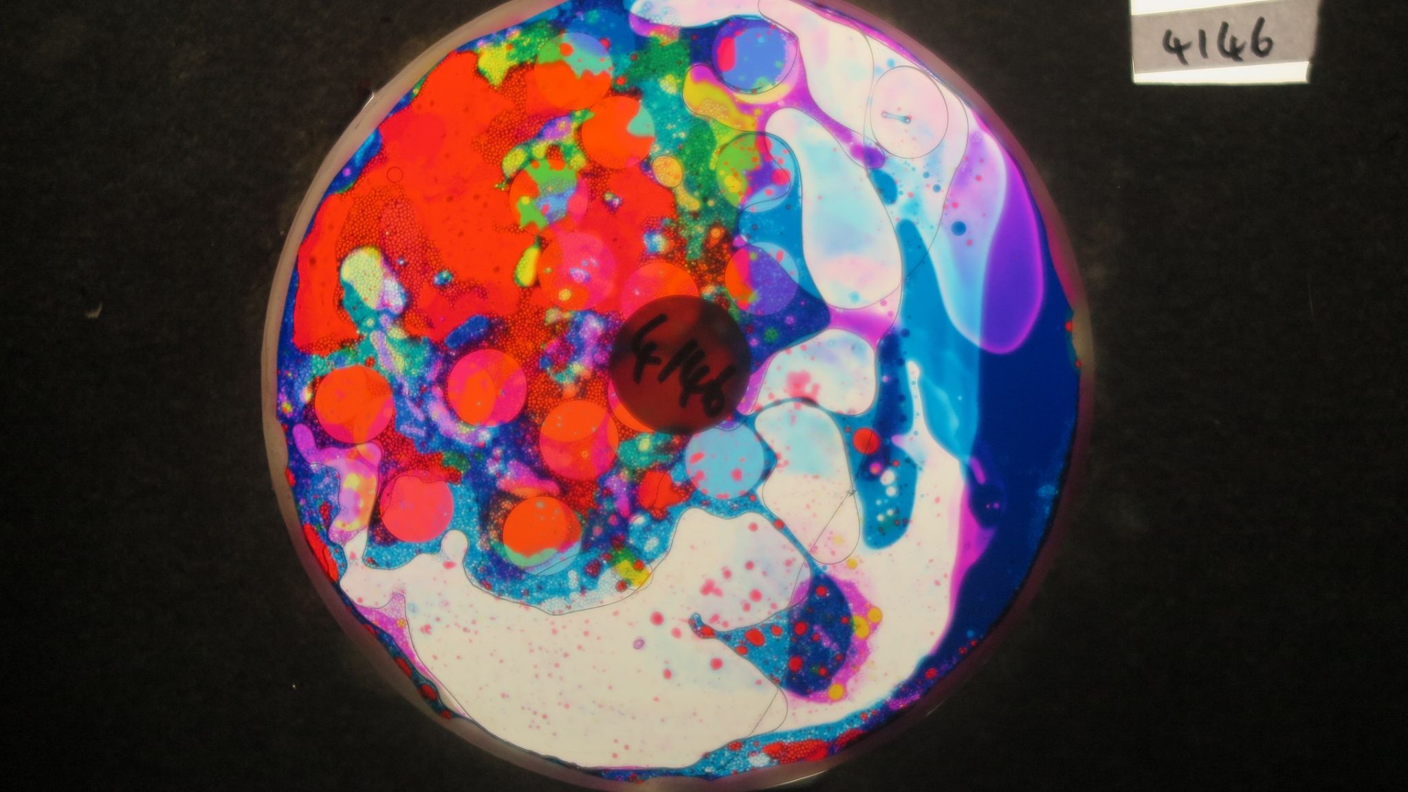 BV4146 bubble vision oil wheel